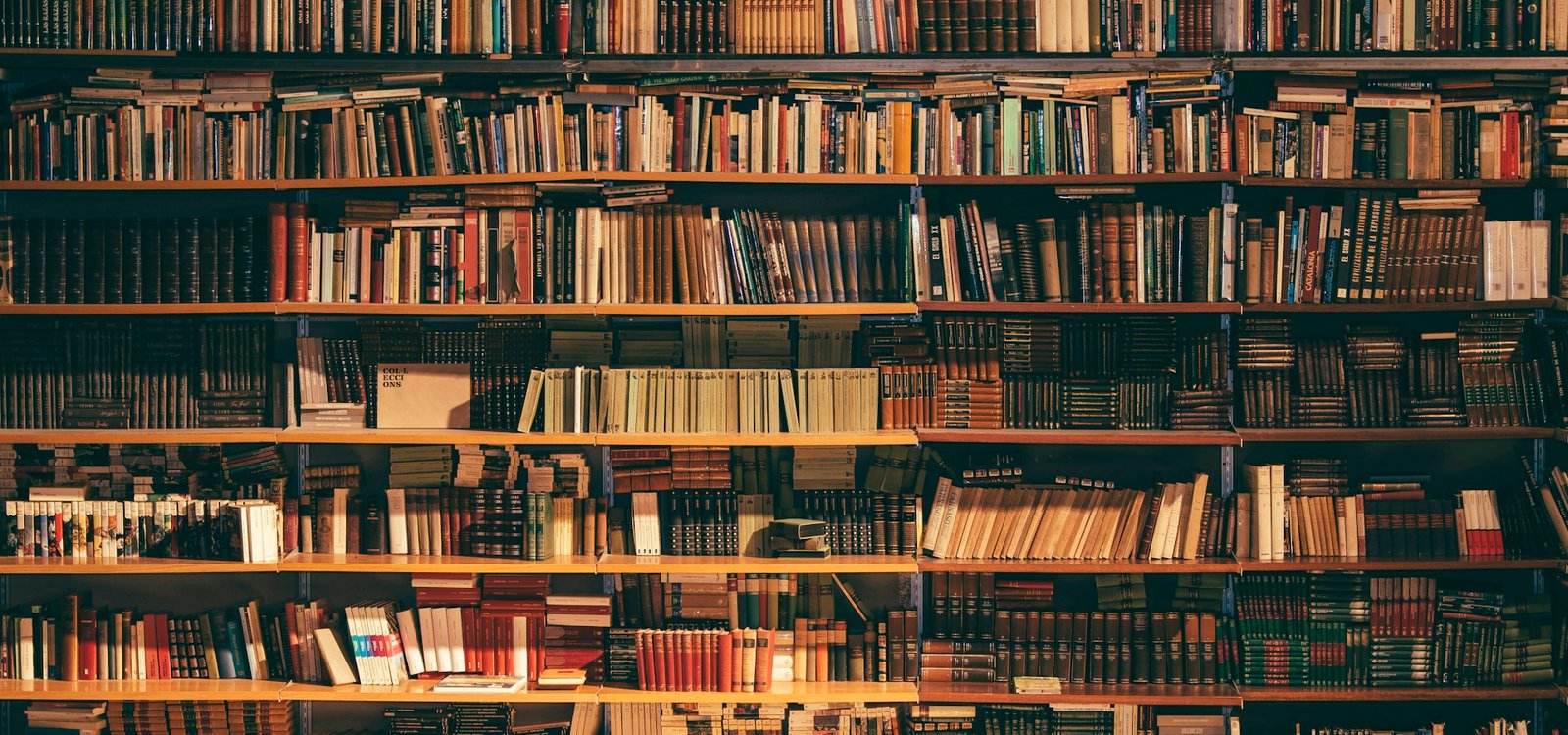 Bibliothèque Yvonne Kayser