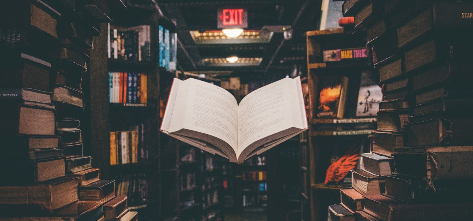 Le catalogue de la bibliothèque