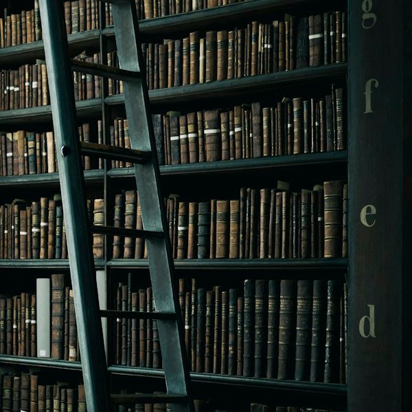 Livres jeunesse
